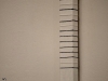11707695_10206889570905888_3307822033149073038_n